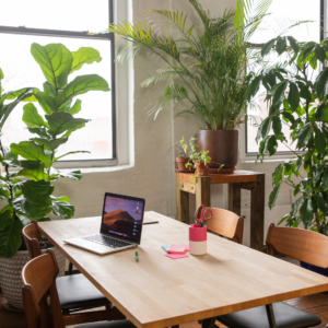 Offices with greenery