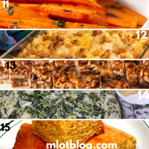 A variety of easy-made dishes from number 11 to 15.