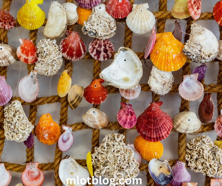 Seashell Ornaments