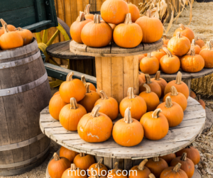 Rustic Crate Displays