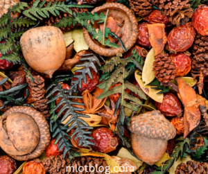 Holiday Scented Potpourri