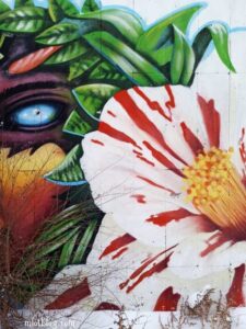 ABSTRACT-WALL-MURALS