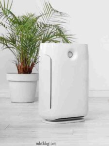 Add-air-purifying-plants