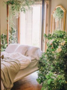 VERTICAL-GARDEN-WALL