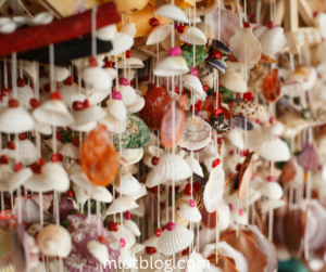 Seashell Garland