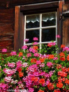 Farmhouse-Windowpane-Decor.