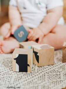 Mini-Explorer-Basket