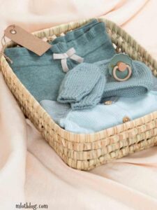 Travel-Basket.