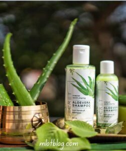 Gentle-Sulfate-Free-Shampoo.