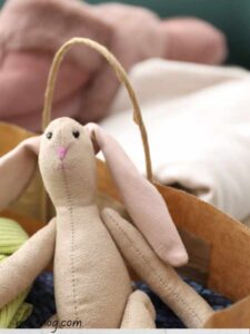 Get-Rid-of-Big-Bulky-Toys