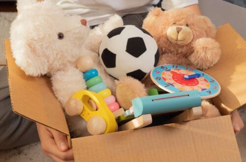 tips-to-declutter-toys-and-home-space