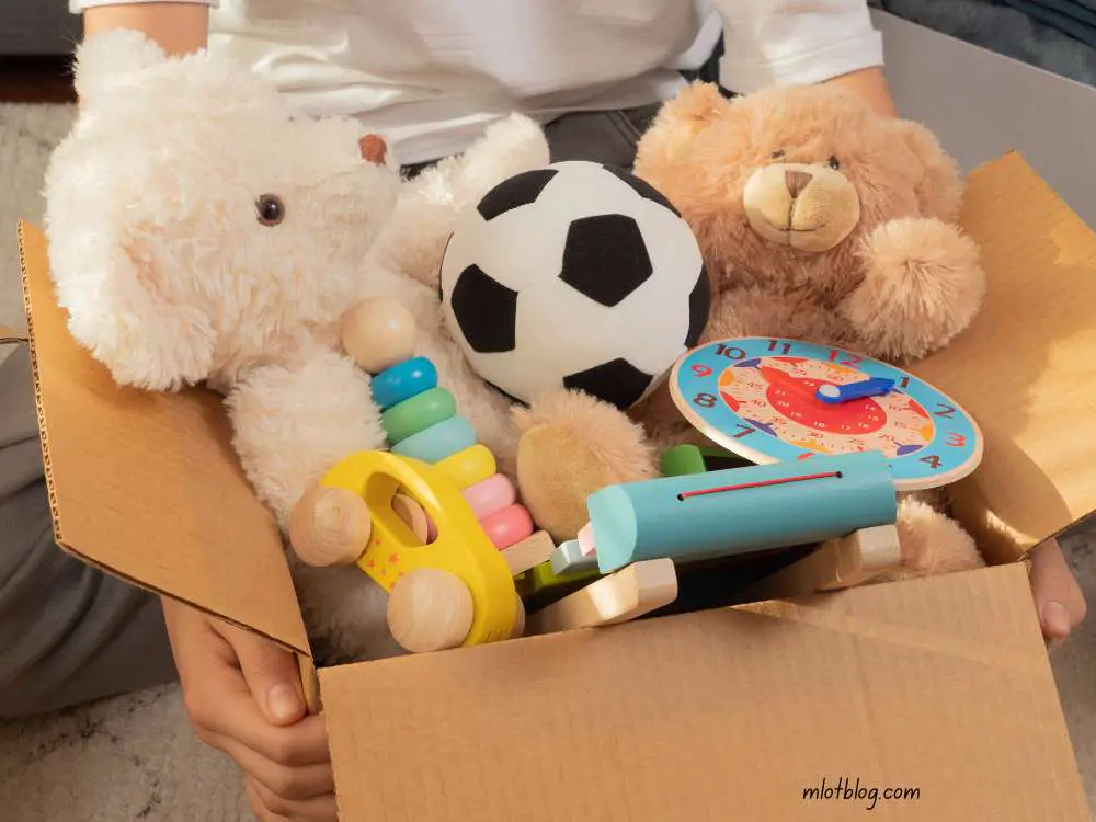 tips-to-declutter-toys-and-home-space